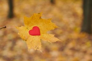 Aperto puro cuore simbolo, copia spazio foto