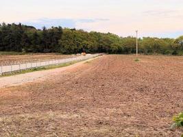 un' Visualizza di il cheshire campagna a peckforton foto