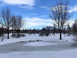 un' Visualizza di Reykjavik nel il inverno foto