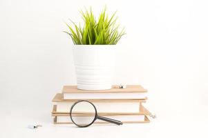 pila di libri con lente d'ingrandimento vicino e fiore su top.inizio di scuola anno concetto. foto