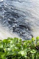 rifiuto acqua a partire dal industriale fogne in fiume foto