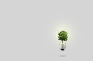 albero quello cresce nel un' leggero lampadine. verde energia concetto, verde idea conservazione di il ambiente. con copia spazio foto