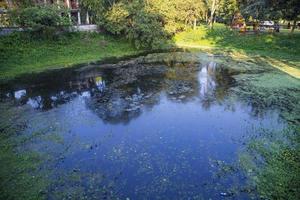 naturale paesaggio Visualizza riflessione di alberi nel il lago acqua contro blu cielo foto