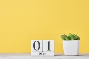 di legno bloccare calendario con Data Maggio 1 e succulento pianta su giallo sfondo foto