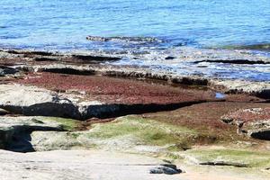 costa del Mar Mediterraneo nel nord di Israele. foto