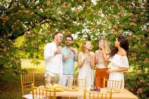 gruppo di contento giovane persone applauso con fresco limonata e mangiare frutta nel il giardino foto