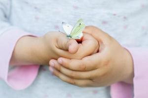 primavera concetto con vicino su di bambino accuratamente Tenere signora farfalla.relazione e cura fra bambini e animali. cura di nuovo vita foto