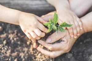 bambino e seniora mani insieme hold verde pianta e suolo per giardinaggio soleggiato giorno.ambiente concetto nel terra giorno. foto