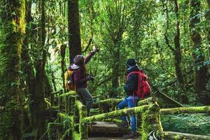 coppie in viaggio, relax in inverno. viaggio a piedi per studiare la natura nella foresta pluviale. all'angka, chiangmai in thailandia. foto