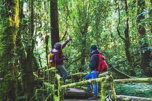 coppie in viaggio, relax in inverno. viaggio a piedi per studiare la natura nella foresta pluviale. all'angka, chiangmai in thailandia. foto