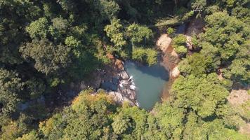 alto angolo Visualizza di un' stagno circondato con alberi foto