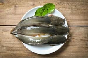 pesce gatto su piatto, fresco crudo pesce gatto d'acqua dolce pesce, pesce gatto per cucinando cibo, pesce con ingredienti erba per caldo e acida la minestra su di legno sfondo foto