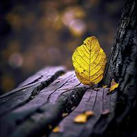 uno giallo foglia bugie solo su un' albero tronco foto