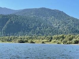 lago teletskoe nel soleggiato giorno. altai, Russia. foto