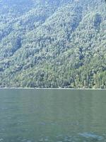 lago teletskoe nel soleggiato giorno. altai, Russia. foto