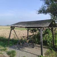 bicicletta nel il campo foto