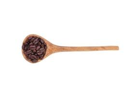 arrostito caffè fagioli nel un' di legno cucchiaio, aromatico, fresco, delizioso, isolato su bianca sfondo foto