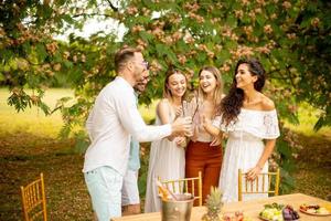 gruppo di contento giovane persone applauso con fresco limonata e mangiare frutta nel il giardino foto