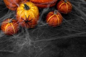 spaventoso Halloween sfondo.copia spazio. zucche con ragno ragnatela su foto