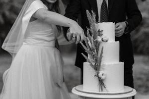 torta nuziale al matrimonio foto