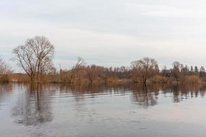 allagato prati nel primavera foto