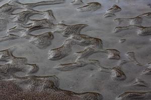 modelli nel il spiaggia sabbia foto