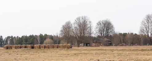 allagato prati nel primavera foto