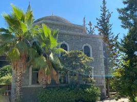 un' bellissimo antico pietra edificio con cupole e colonne nel il musulmano religioso stile e palma alberi con vario verde alberi foto