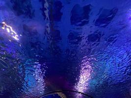 grande bellissimo il giro bicchiere tunnel sotto acqua nel il acquario con diverso pesce. concetto turismo, mare mondo, immersione foto