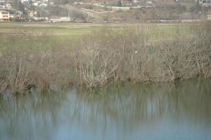 palude e il villaggio foto