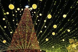 Natale albero si illumina su il piazza nel il città. sera, notte illuminazione foto