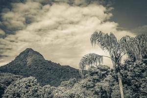 abraao mountain pico do papagaio con nuvole ilha grande brazil. foto