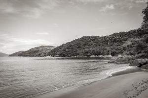 spiaggia di mangrovie e pouso sull'isola tropicale ilha grande brasile. foto