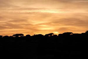 tramonto o Alba, contrasti e luci nel il orizzonte, contrasti foto