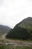 bene alberi foresta paesaggio Naran jhalkand foto