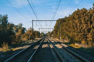 Ferrovia prospettiva Visualizza nel foresta con blu cielo foto