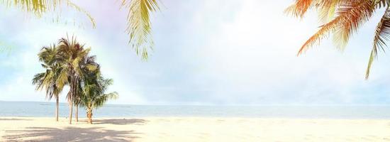 sfocato blu cielo e le foglie di Noce di cocco palma albero su bianca spiaggia per panaroma tropicale estate sfondo foto