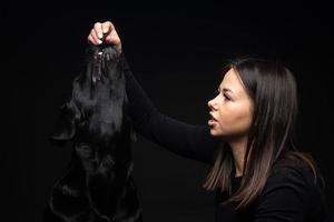 una ragazza tiene in braccio un cane labrador retriever. foto