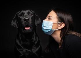 ritratto di un' labrador cane da riporto cane nel un' protettivo medico maschera con un' femmina proprietario. foto