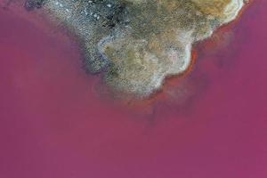 costa con rosa acqua. aereo Visualizza di maestoso paesaggi di jarilgach isola nel Ucraina foto