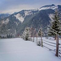 paesaggio invernale in montagna foto