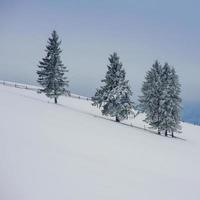 paesaggio invernale in montagna foto