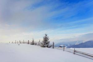 montagne invernali dei Carpazi foto