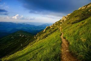 paesaggio estivo in montagna foto