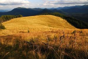 montare kukul nel autunno foto