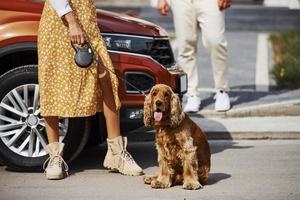 particella Visualizza di bello coppia quello avere un' camminare insieme con cane all'aperto vicino il auto foto