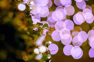 avvicinamento sfocato e bokeh di Natale fulmine festa con verde foglia primo piano. foto