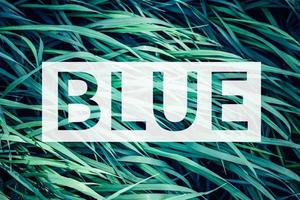 parola blu su il erba sfondo. creativo design concetto foto