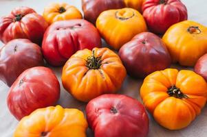 disposizione piatta di pomodori cimelio reipened freschi gialli e rossi su sfondo bianco. verdure fresche. concetto di alimentazione sana. cibo organico