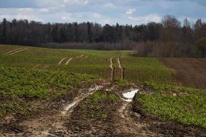 primavera paesaggi con nuvole foto